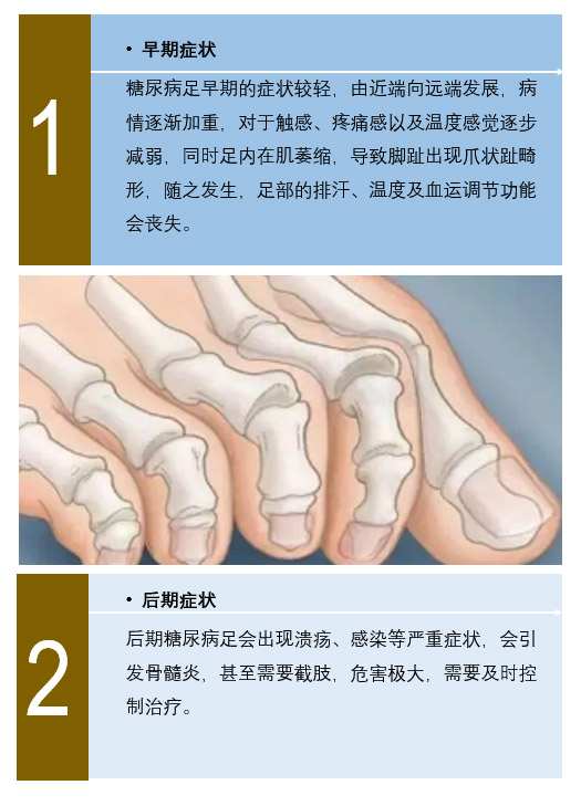 深圳市雷诺华科技实业有限公司 血球试剂 生化试剂 糖化血红蛋白 Poct Ivd
